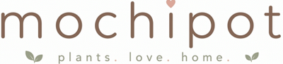 Mochipot